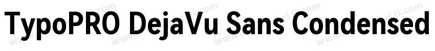 TypoPRO DejaVu Sans Condensed Bold字体转换